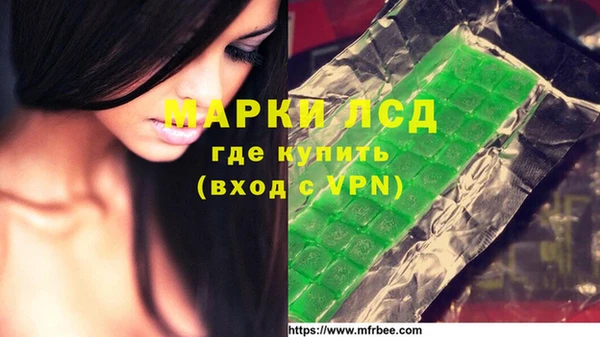хмурый Лагань