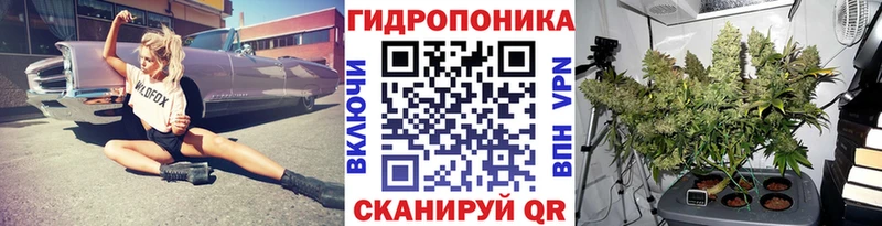 Марихуана план блэк спрут сайт Ленинградская